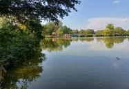 Bárka Gastro Bistro Sárvár