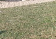 Bárka Gastro Bistro Sárvár