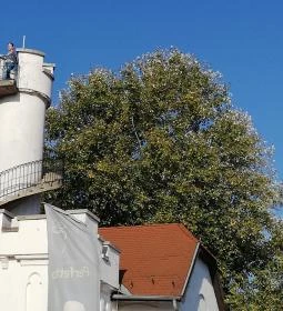 Csősztorony Grillterasz