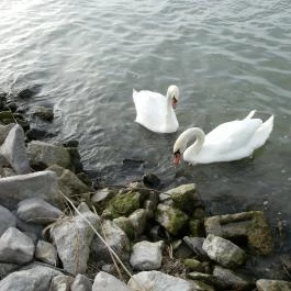Erzsébet Szálloda Balatonőszöd, Balatonőszöd - Környék