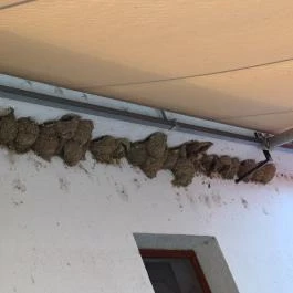 Fehér Amúr Halászcsárda, Poroszló - Egyéb