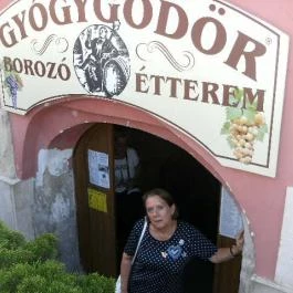 Gyógygödör Borozó, Sopron - Egyéb