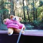 Hotel Lövér Sopron - Egyéb