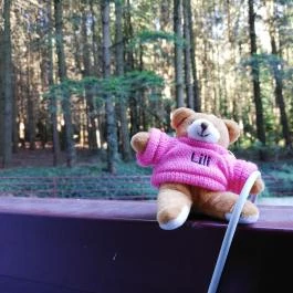 Hotel Lövér Sopron - Egyéb