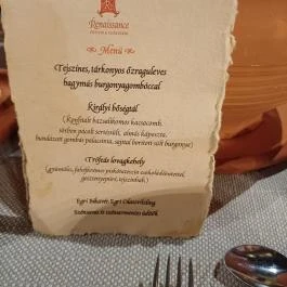 Hotel Visegrád, Visegrád - Egyéb