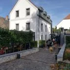 Malom & Kacsa - Bisztró, Kávézó & Rendezvényház Tata - Egyéb