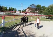 Rádpusztai Lovascentrum Balatonlelle