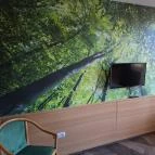 Park Hotel Sóstó Nyíregyháza - Egyéb