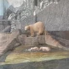 Sóstó Zoo - Nyíregyházi Állatpark Nyíregyháza - Egyéb