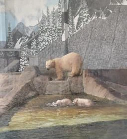 Sóstó Zoo - Nyíregyházi Állatpark