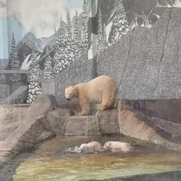 Sóstó Zoo - Nyíregyházi Állatpark, Nyíregyháza - Egyéb