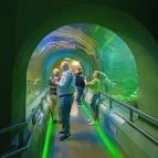 Tisza-tavi Ökocentrum Poroszló - Egyéb