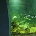 Tisza-tavi Ökocentrum Poroszló - Egyéb