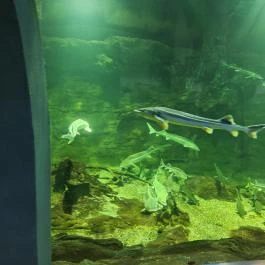 Tisza-tavi Ökocentrum, Poroszló - Egyéb