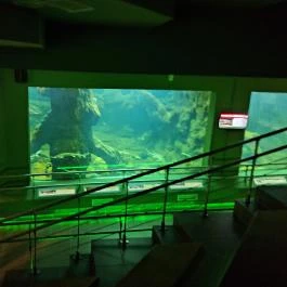 Tisza-tavi Ökocentrum, Poroszló - Egyéb