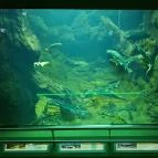 Tisza-tavi Ökocentrum Poroszló - Egyéb