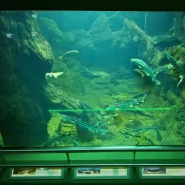 Tisza-tavi Ökocentrum, Poroszló - Egyéb