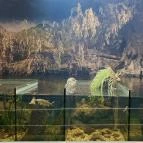 Tisza-tavi Ökocentrum Poroszló - Egyéb