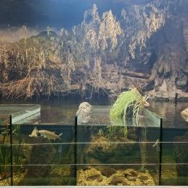 Tisza-tavi Ökocentrum, Poroszló - Egyéb