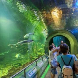 Tisza-tavi Ökocentrum, Poroszló - Egyéb