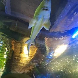 Tisza-tavi Ökocentrum, Poroszló - Egyéb