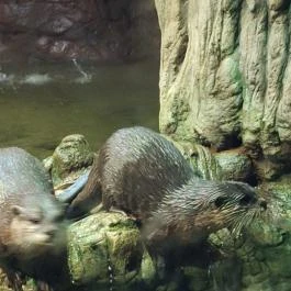 Tisza-tavi Ökocentrum, Poroszló - Egyéb