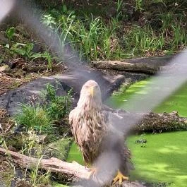 Tisza-tavi Ökocentrum, Poroszló - Egyéb