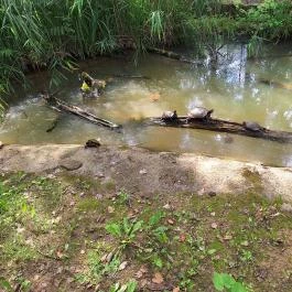 Tisza-tavi Ökocentrum, Poroszló - Egyéb