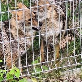 Tisza-tavi Ökocentrum, Poroszló - Egyéb
