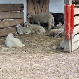 Tisza-tavi Ökocentrum, Poroszló - Egyéb