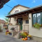 Yellow Pub Étterem Gödöllő - Egyéb