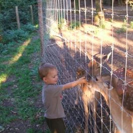 Malomerdő Panzió Pusztavám - Egyéb