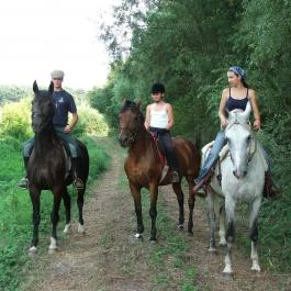 Malomerdő Panzió Pusztavám - Szórakozás/Sport