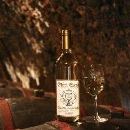 Malomerdő Panzió Pusztavám - Vendéglátás