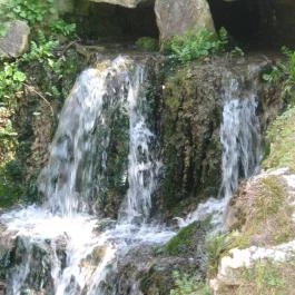 Malomerdő Panzió Pusztavám - Környék