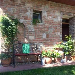 Joó Fogadó Wellness Panzió Rábapaty - Medence/kert