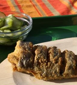 Vidék Íze Vízparti Lakásétterem