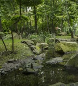 Szentendrei Japánkert