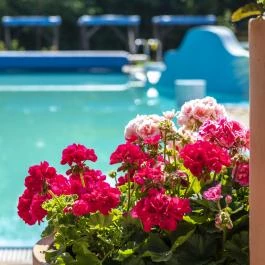 Duna Relax Hotel Ráckeve - Wellness