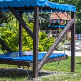 Duna Relax Hotel Ráckeve - Medence/kert