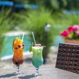 Duna Relax Hotel Ráckeve - Medence/kert