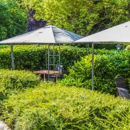 Duna Relax Hotel Ráckeve - Medence/kert