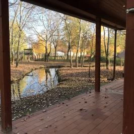 Faházas Villapark Ráckeve - Medence/kert