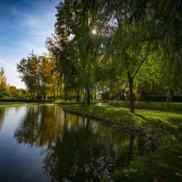 Faházas Villapark Ráckeve - Medence/kert