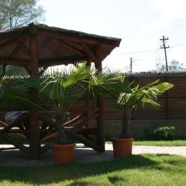 Buli Villa Rakamaz - Medence/kert