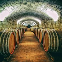 Angyal Borászat Rátka - Külső kép