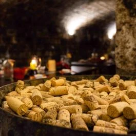 Angyal Borászat Rátka - Vendéglátás