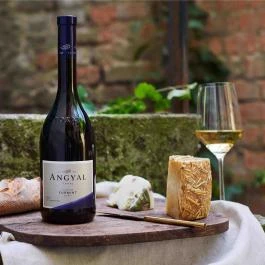 Angyal Villa Rátka - Vendéglátás