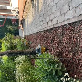 Aventurin House Révfülöp - Medence/kert