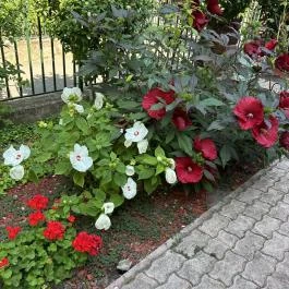 Aventurin House Révfülöp - Külső kép